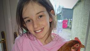 Laois girl starts her own egg delivery business after rescuing hens 