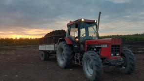 Do you have a story about a Laois bog?