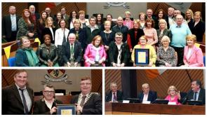 IN PICTURES: Laois honours for Tidy Towns national champion Abbeyleix