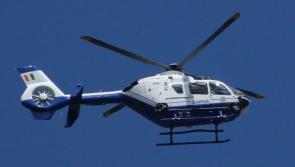 Gardaí renew appeal after suspected burglary gang take to fields in Laois