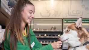 Portlaoise has 'great retail offering' - new Laois jobs as big pet care service confirms opening