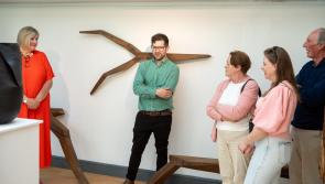 Renowned Laois artists to join in conversation at the Arthouse 