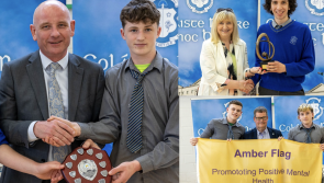 IN PICTURES: Laois school's students celebrate fantastic year 
