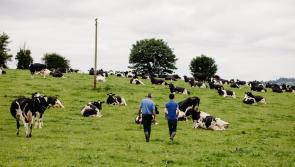 Don't lose a slice of your farm