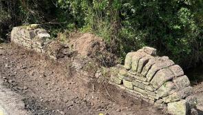 Old bridge discovered in Laois village rebuilt 