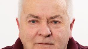 Laois Local Election Q & A: 'Prioritising small and medium farmers'