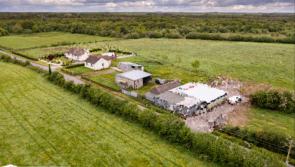 Online auction to be held for four lots of Offaly land perfect for equestrian farm