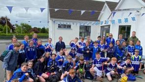 Government grants permission for new Special Educational Needs Classrooms at Laois school