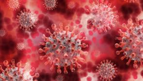  What are the latest Covid symptoms? Big spike in cases sweeping across Ireland