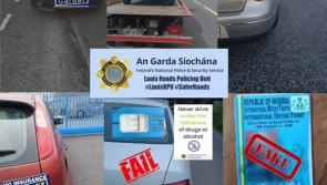 Gardaí seize five cars and discover two drivers using false licences in Laois 