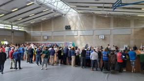 Laois Offaly TD leading the way in Laois European vote believe Fianna Fáil tally