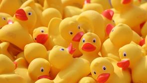 Portlaoise business to host virtual duck race in aid of Laois Down Syndrome 

