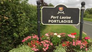 Portlaoise business owner lodges appeal after refusal for development at industrial estate 