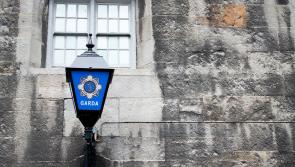 Gardaí  unsure when dead man's car left the road and appeal for witnesses 