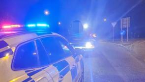 Laois Gardaí say motorist driving erratically tried to give false details 