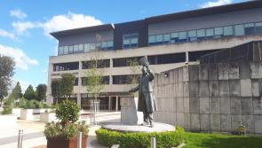 All you need to known about Laois County Council Best Estates Competition 2024
