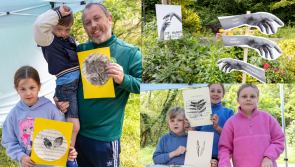 IN PICTURES: Laois kids enjoy creative activities at unique Abbeyleix Bog festival