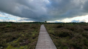 Excitement builds in Laois as Abbeyleix Bog Project awaits Pride of Place judging