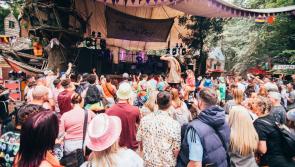 Line up for Salty Dog at Laois' Electric Picnic revealed with special surprise 
