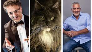 Bakeoff's Paul Hollywood thanks Laois Supervet for saving cat’s life 