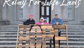 Countdown on  for Relay for Life cancer charity event in Laois
