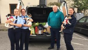 Portlaoise prison staff make ‘amazing’ donation to Laois SPCA 