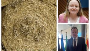 Straw  call 'damaged' relationships with farmer says Laois representative 