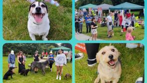 IN PICTURES: Tails and trails at Laois SPCA dog walk fundraiser