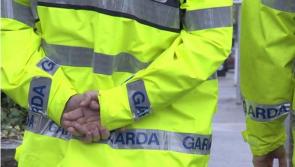 Laois man remanded to prison following theft and assault charges