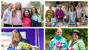 PICTURES: Summer delights in Laois at annual garden fête
