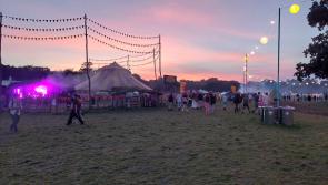 Single use vapes to be confiscated at Electric Picnic in Laois