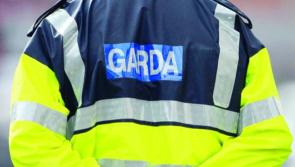 Man dies in early morning crash involving truck on busy road near Laois border
