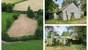 PICTURES: Cute cottage in need of some tlc hits the market in Laois for just &euro;70,000 