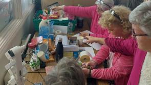 Electric Picnic Lost and Found a hive of activity in Laois