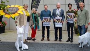 Spectacular line-up for Culture night in Laois 