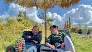 Watch: Exclusive peek into Brennan brothers' latest Laois project