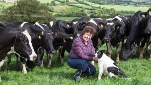 Giving rural Ireland 'the Bridget Jones treatment': Laois author and farmer Lorna Sixsmith talks about her debut novel