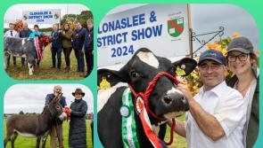 In PICTURES: Lots of prizewinning livestock at Laois show