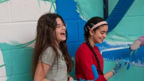 New: Eight Laois schools chosen for elite 'Creative Schools' programme