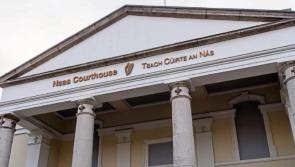 Laois man fined for hunting  on land without owner's permission