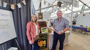 WATCH: Laois beekeepers bring a buzz to the Ploughing