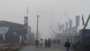 Motorists travelling to Laois for final day of Ploughing urged to take care in fog 