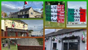 In Pictures: Rathdowney and Errill support their hurlers ahead of county final
