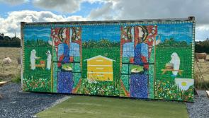 Laois artist paints stunning mural on local apiary