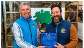 Laois farmers to host farm open day to learn more about Aubrac cattle