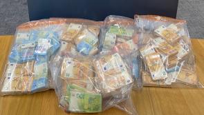 Two due in court over &euro;390,000 cash seizure in Laois and Dublin