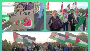 IN PICTURES: Laois Palestine Solidarity Campaign hold 'bridgil' over Junction 15