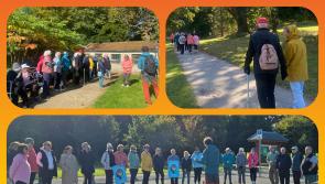 'We had the weather': See pictures of Laois Mindfulness Walk for positive mental health 
