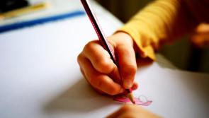 'Brick walls and closed doors' for Laois parents of special needs children, says councillor