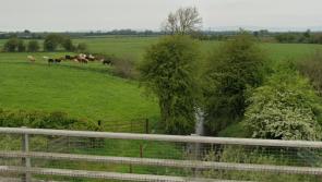 River cleaning rota to be drawn up by Laois County Council 
